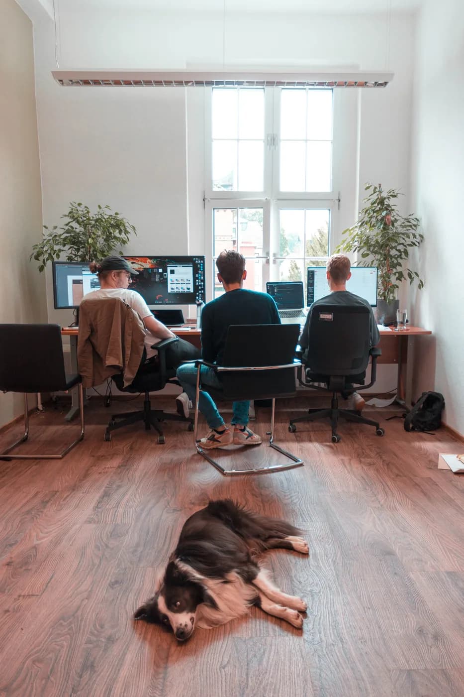 SORUM Team entwickelt gemeinsam an digitalen Systemen